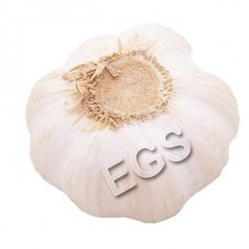 Fresh Garlic 1 KG